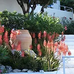 Apartment Aegean - &