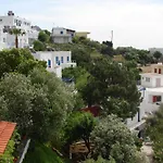 Aegean - &