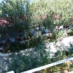 Apartment Aegean - & *